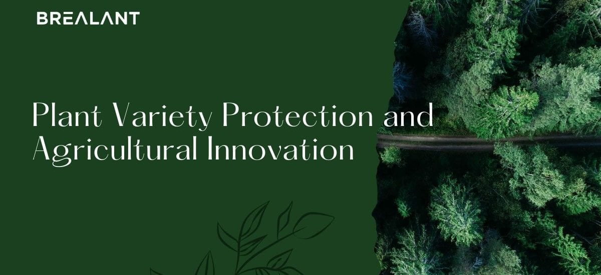 Plant Variety Protection (UPOV)